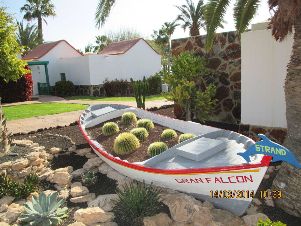 Garten Aldiana Club Fuerteventura