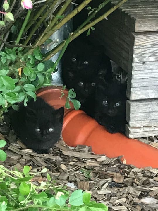 Sonstiges Ferienresort Möwenort