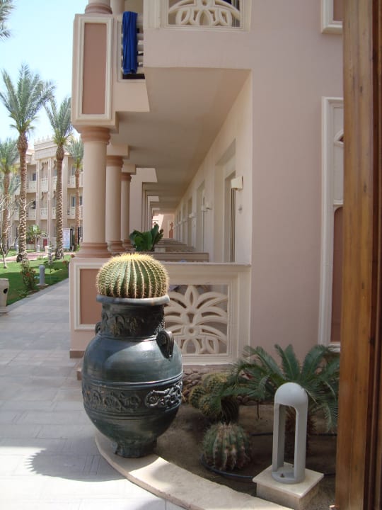 Sonstiges Beach Albatros Resort