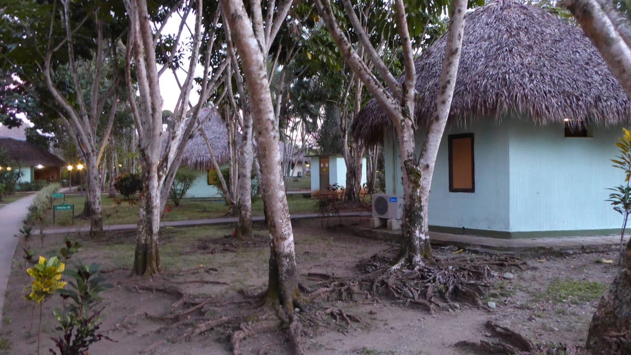 Bungalows Hotel Los Caneyes