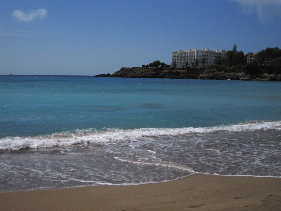 Kleiner aber sauberer Strand Cala Llenya Resort Ibiza
