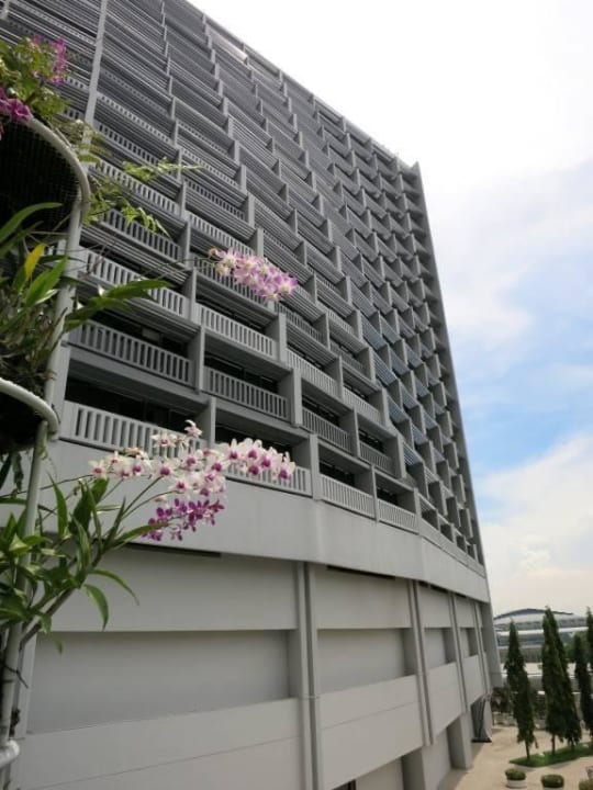 Blick vom Pool Parkroyal Collection Marina Bay