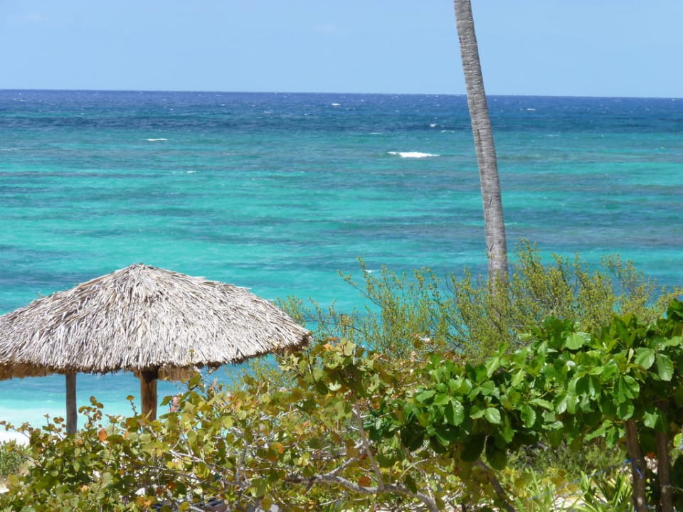 Von der Gartenanlage aufgenommen Grand Palladium Punta Cana Resort & Spa