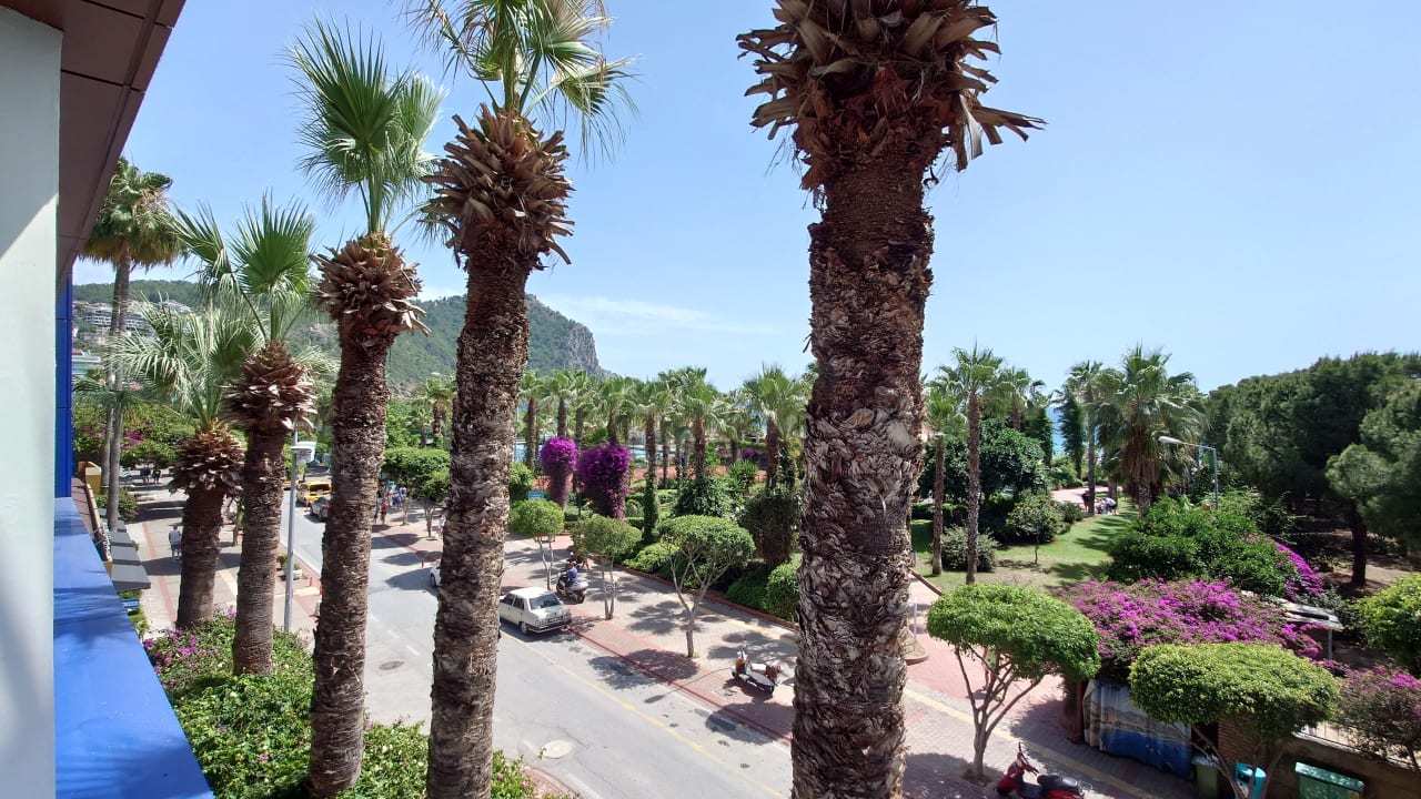 Zimmer Gardenia Hotel