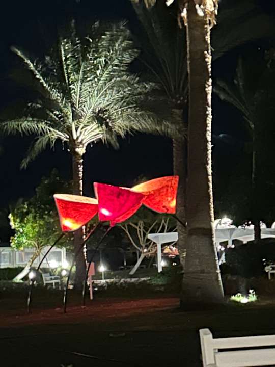 Gartenanlage Desert Rose