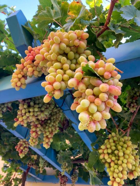 Außenansicht Fodele Beach & Water Park Holiday Resort