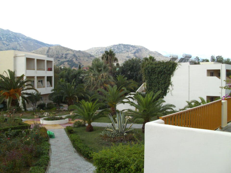 Garten Delfina Tropic Beach