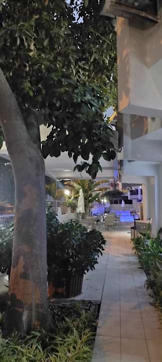 Gartenanlage Blue Diamond Alya