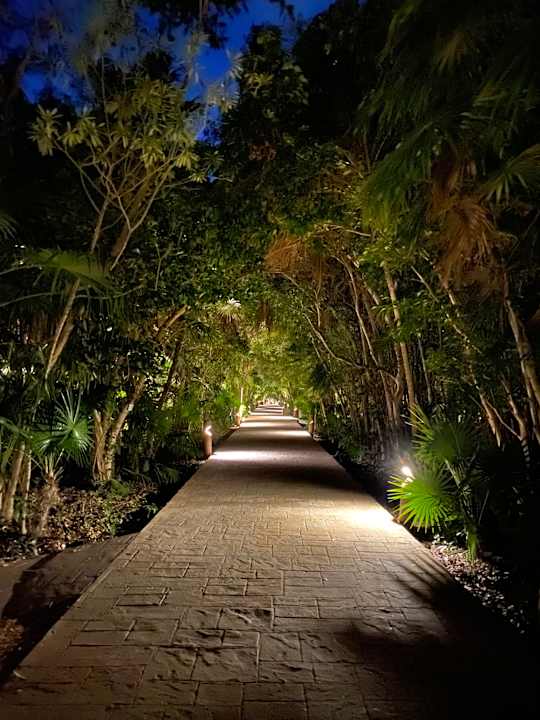 Gartenanlage Catalonia Playa Maroma