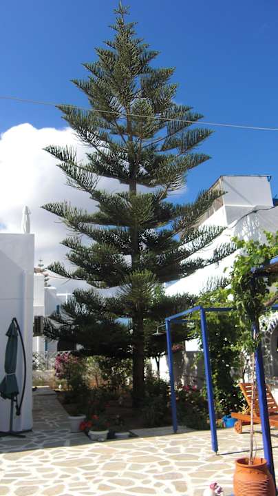 Innenhof Marioly Studios