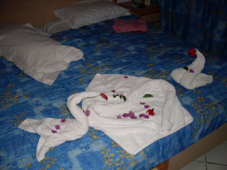 Jeden Tag was neues, sehr schön Hotel Nesrine