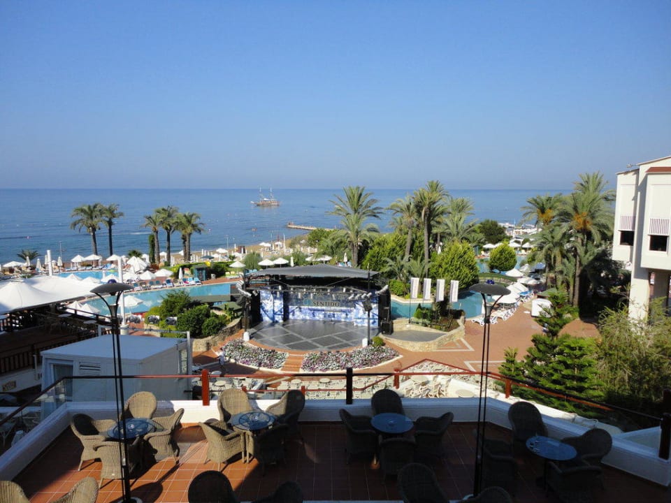 Sentido PALOMA Perissia