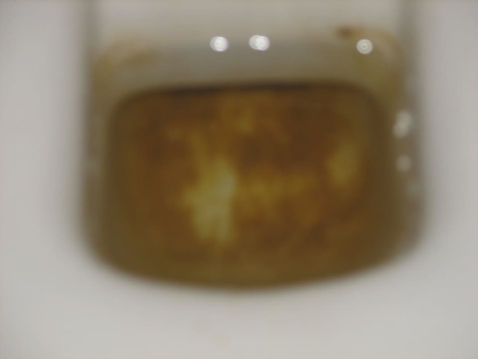 Muszla klozetowa Sunny Days Palma De Mirette Resort & Spa