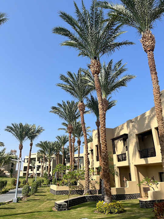 Außenansicht Pickalbatros Oasis Hotel - Port Ghalib