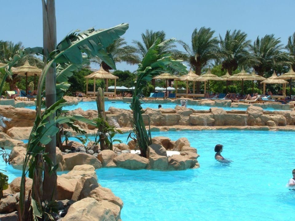 der neue pool Beach Albatros Resort