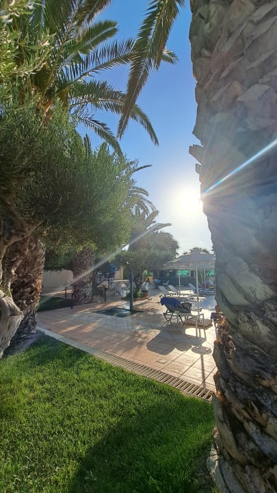 Ausblick Tylissos Beach Hotel
