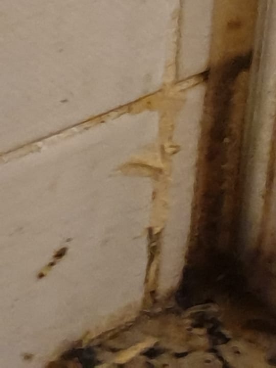 Zimmer Royal Star Beach Resort