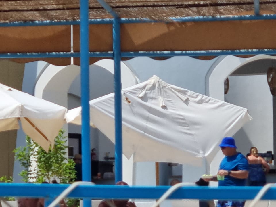 Gastro Marina Resort Port Ghalib, a member of Radisson Individuals