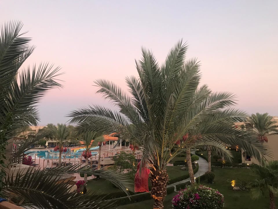 Ausblick TUI MAGIC LIFE Kalawy