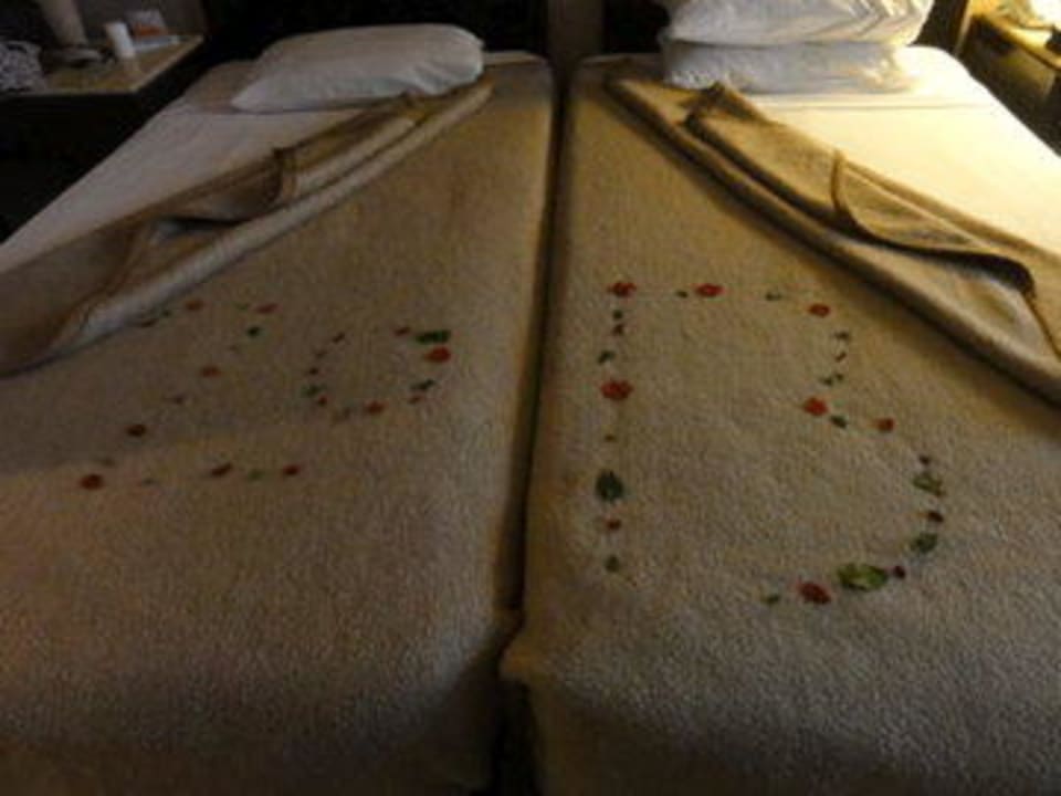 Bett - 2013 JAZ Dahabeya