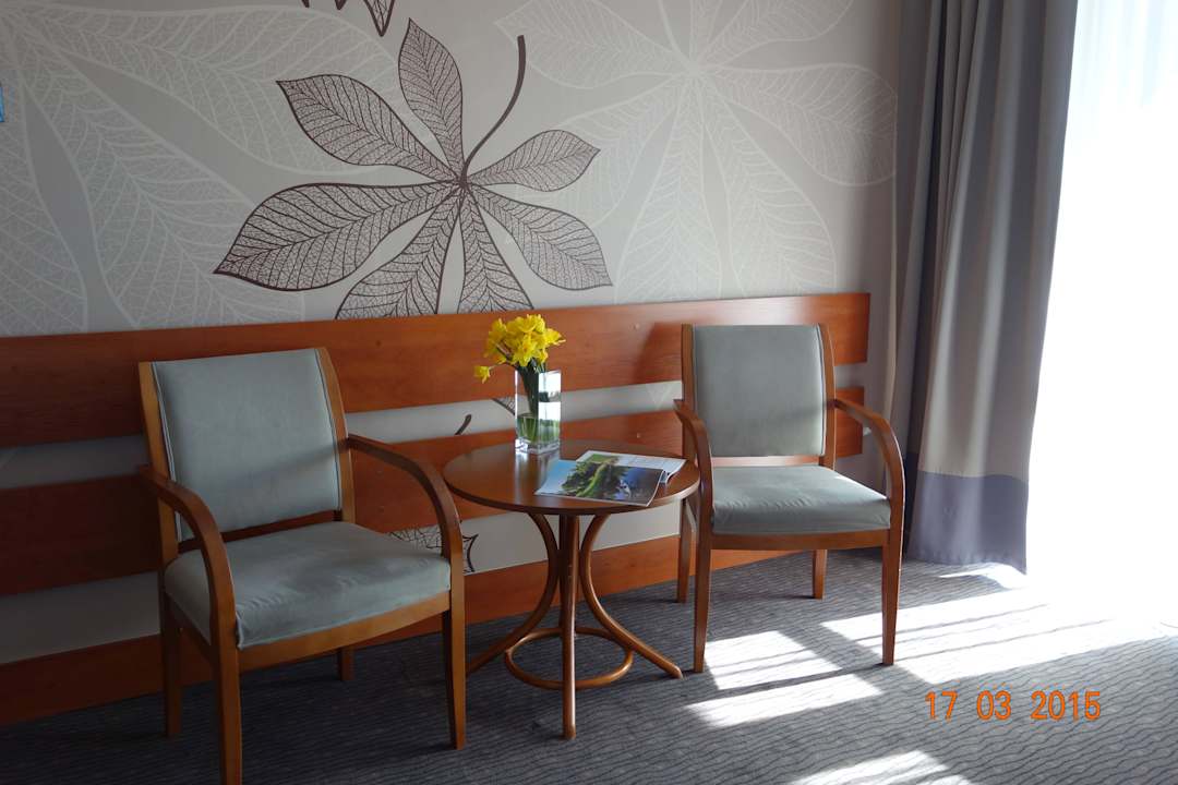 Przykładowy standard Villa Akme