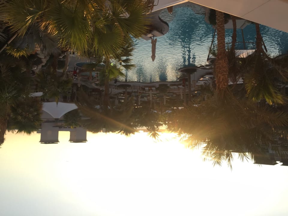 Gartenanlage Jumeirah Al Naseem