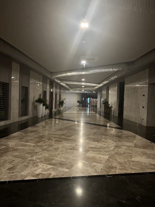 Sonstiges Royal Seginus