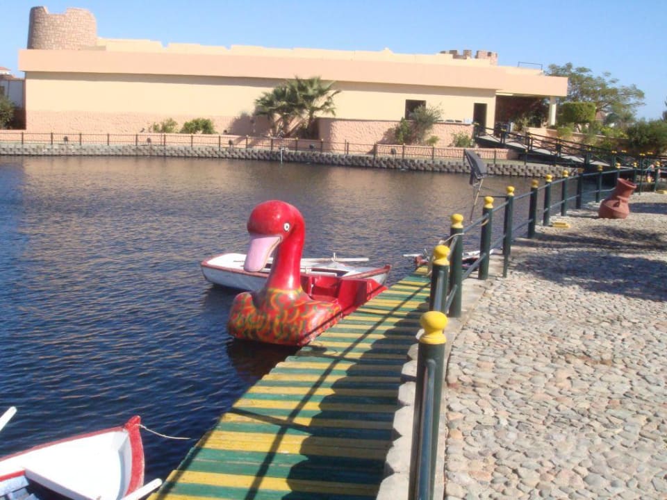 Lagune mit Schwan Pickalbatros Dana Beach Resort - Hurghada