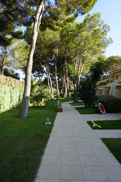 Gartenanlage Iberostar Waves Pinos Park