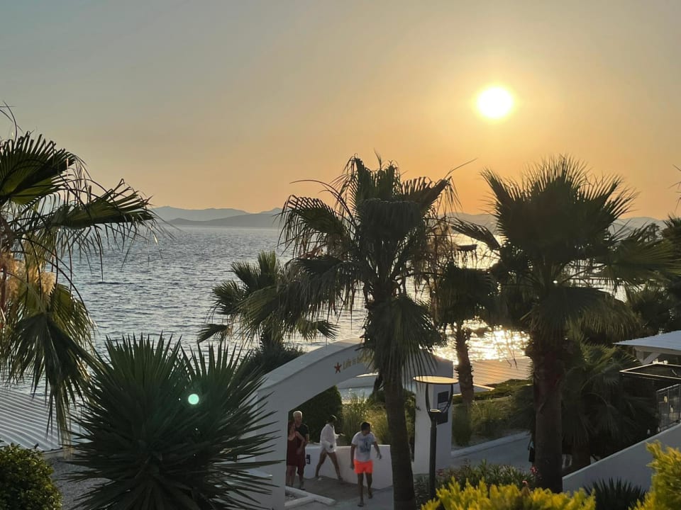 Ausblick TUI MAGIC LIFE Bodrum - Adult Only (16+)