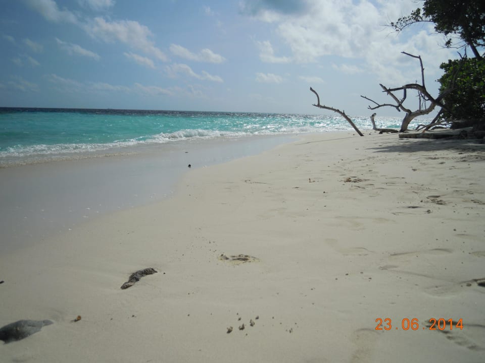 41 Biyadhoo Island Resort
