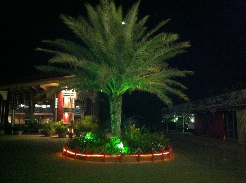 Eingang bei Nacht Hotel Orfeus Park