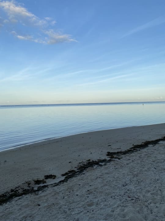 Strand Sugar Beach Mauritius