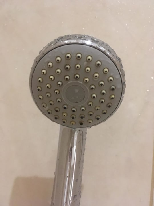 Zimmer Bodrum Park Resort