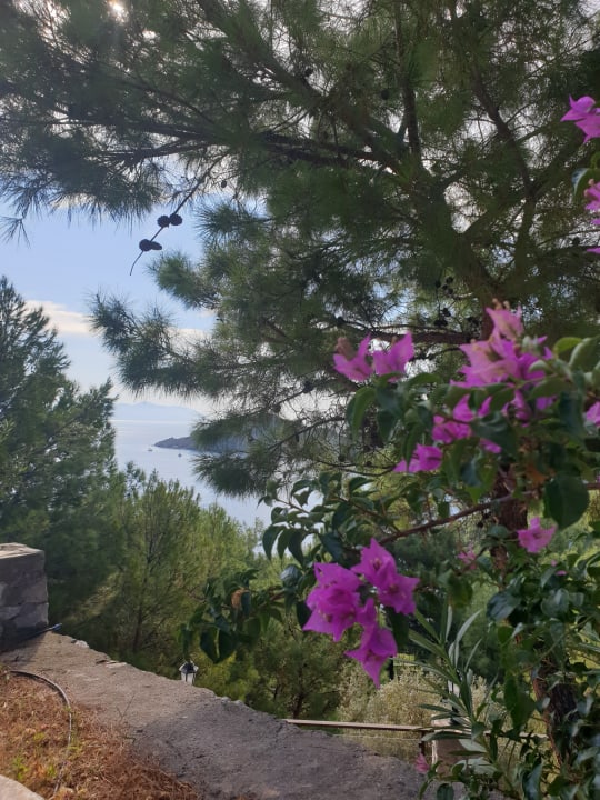 Gartenanlage TUI BLUE Seno - Adults Only