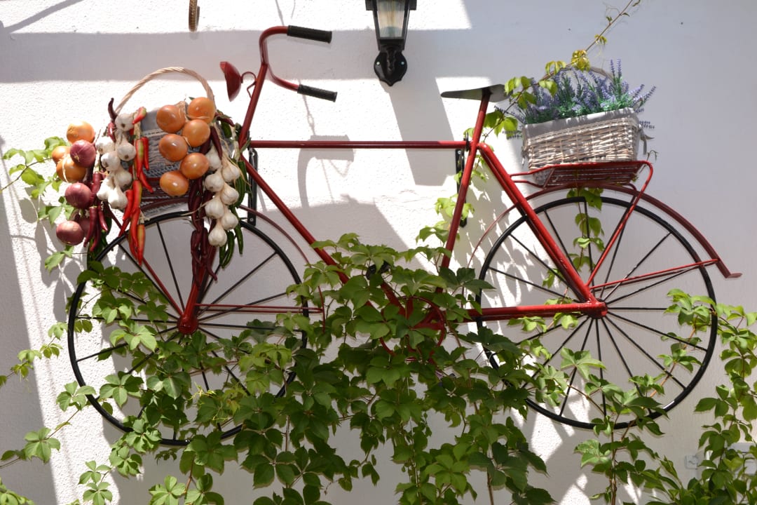 Gartenanlage Hane Family Resort