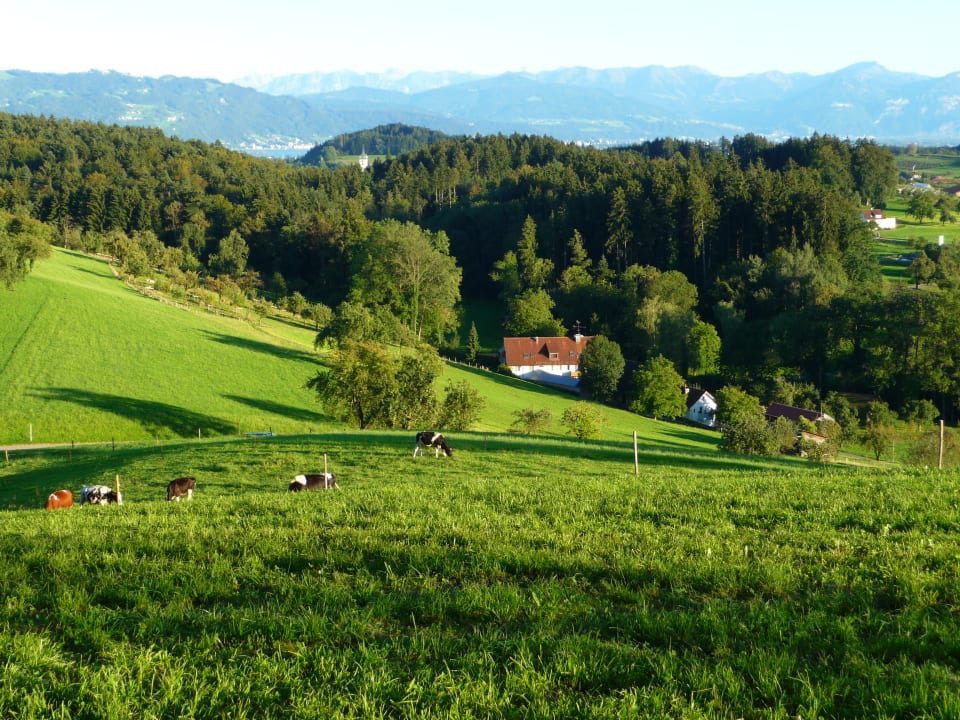 Ausblick Landhotel Martinsmühle