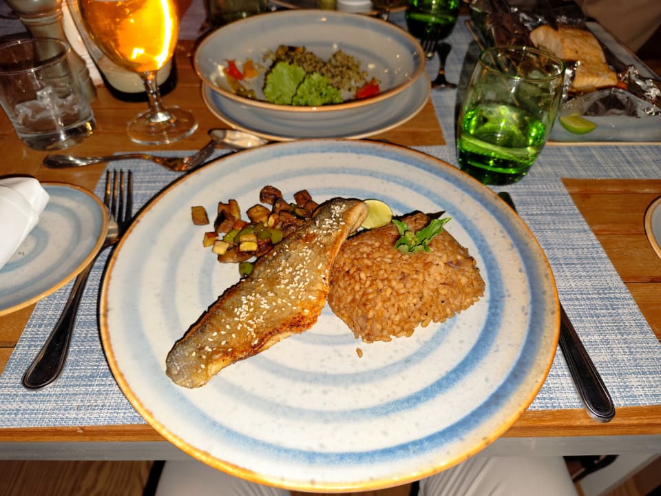 Gastro JAZ Elite Amara