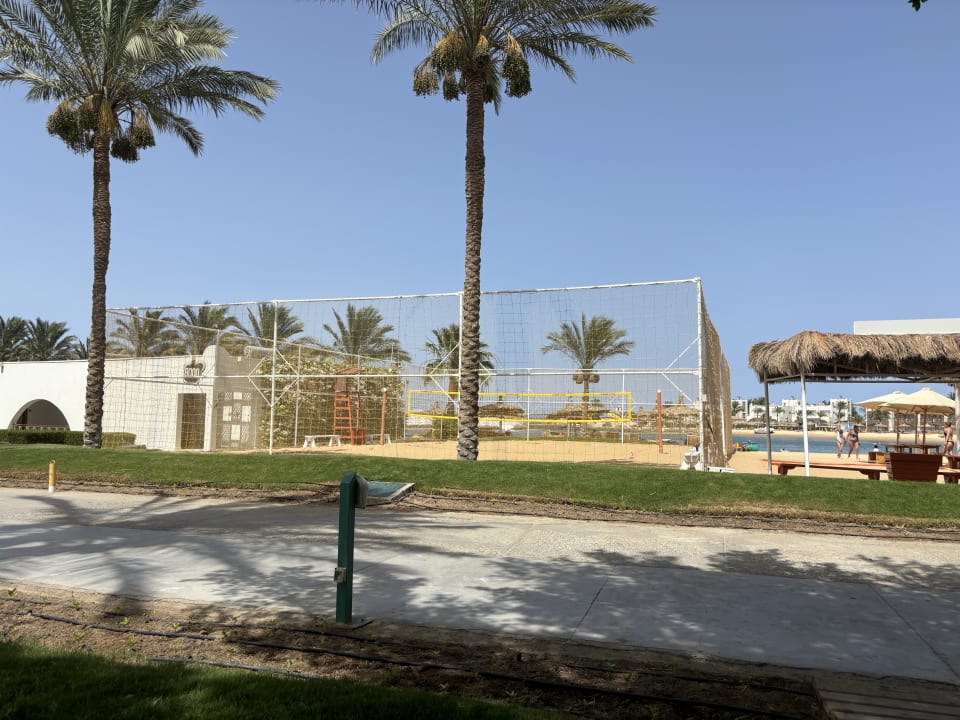 Sport & Freizeit Desert Rose