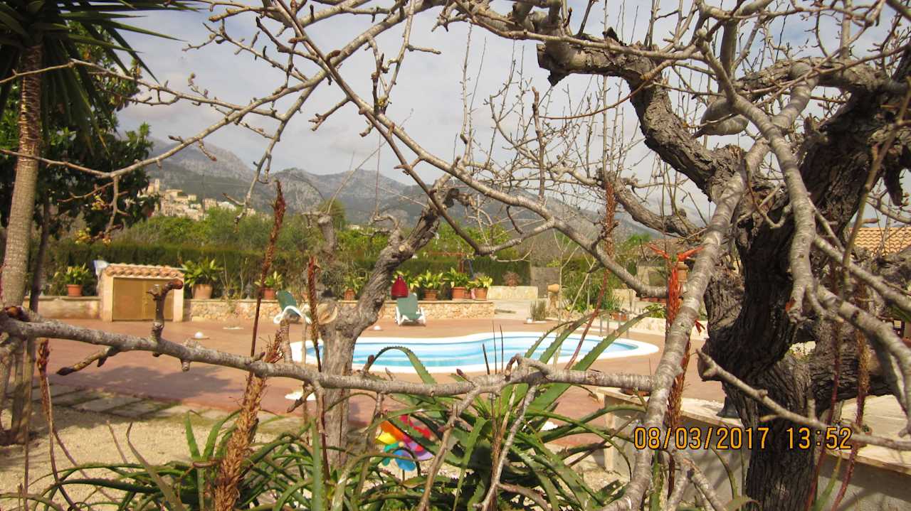 Die Vegetation stand noch vor dem Austrieb. Finca Cas Pec