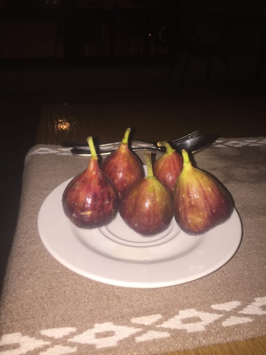 Sonstiges Steigenberger Aqua Magic