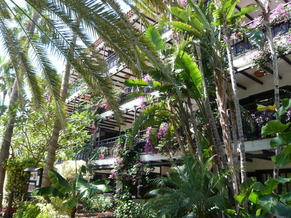 Vom Garten aus gesehen Hotel Parque Tropical