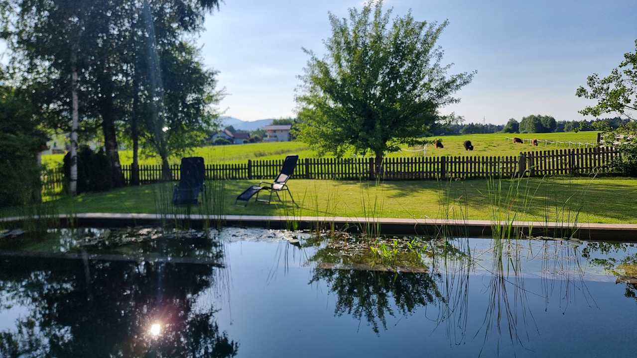 Pool Hotel Bloberger Hof