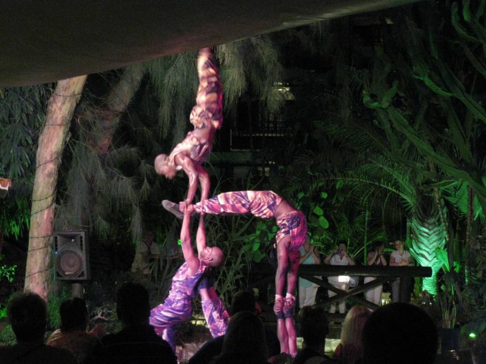 Show Hotel Parque Tropical