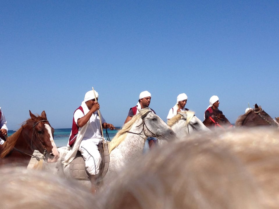 Wilde Reiter Calimera Yati Beach