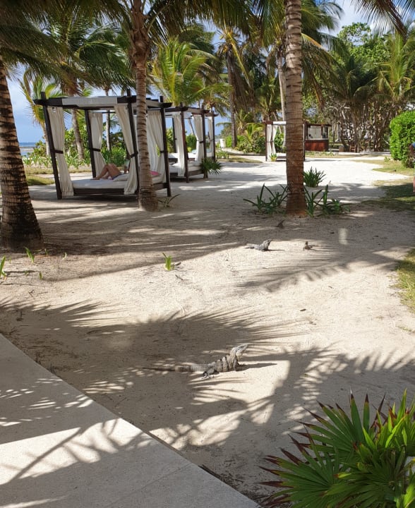 Sonstiges Akumal Bay Beach & Wellness Resort