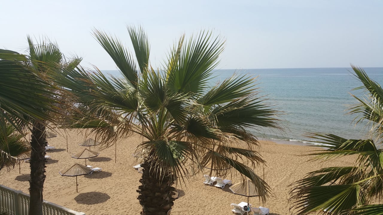 Gartenanlage Hotel Defne Dream