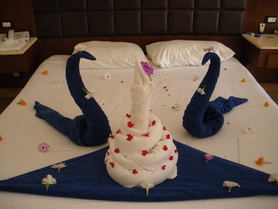 Zum Geburtstag meinens Mannes... Pickalbatros Alf Leila Wa Leila Resort - Neverland Hurghada