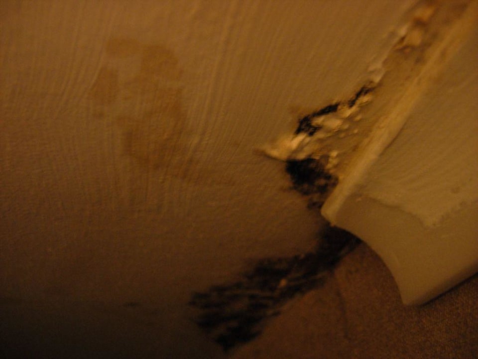 Schimmel an der Decke Hotel Grand Side