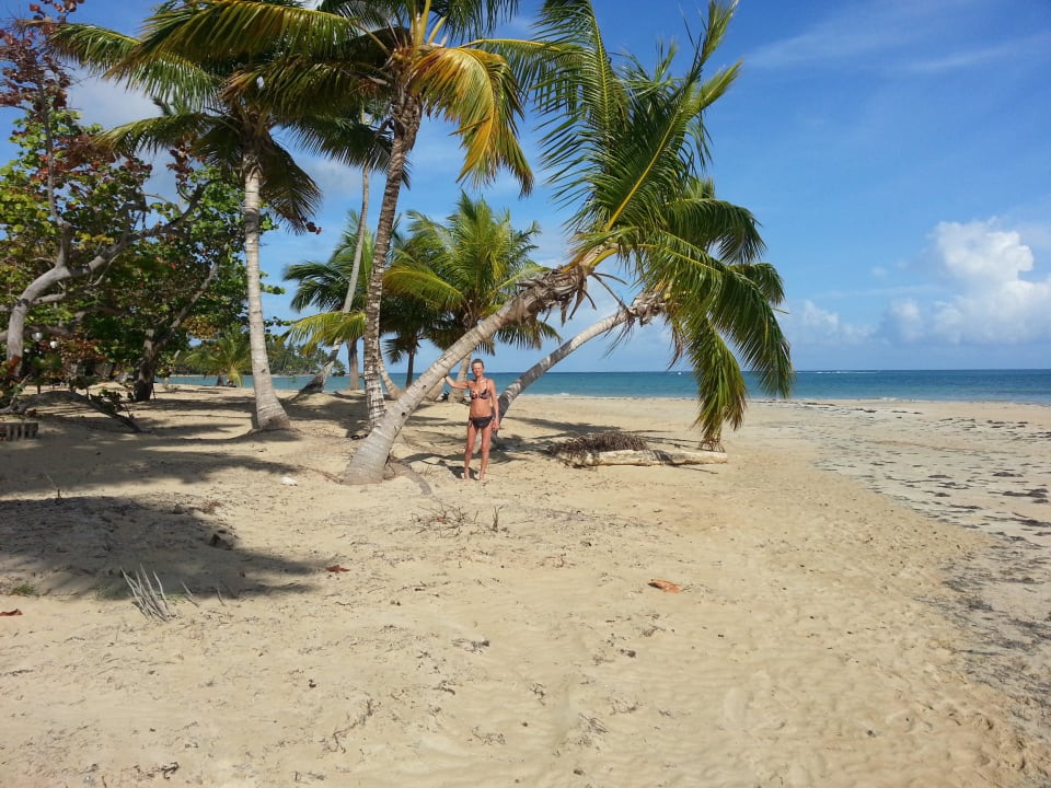 Hotelstrand Bahia Principe Grand El Portillo